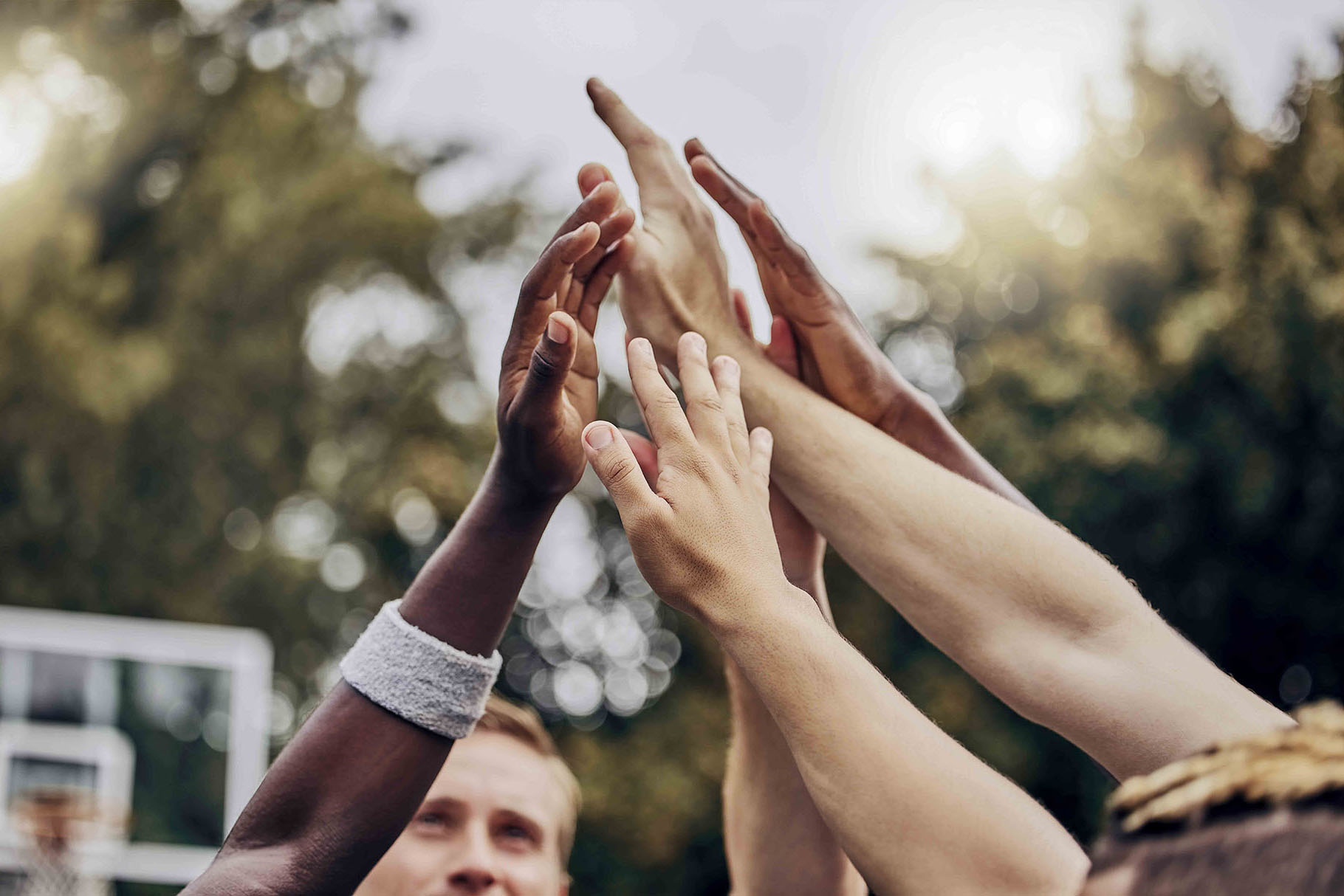 hands of all races and genders raised in a high five gesture